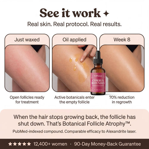 Wellnature™ Cyperus Root Elixir
